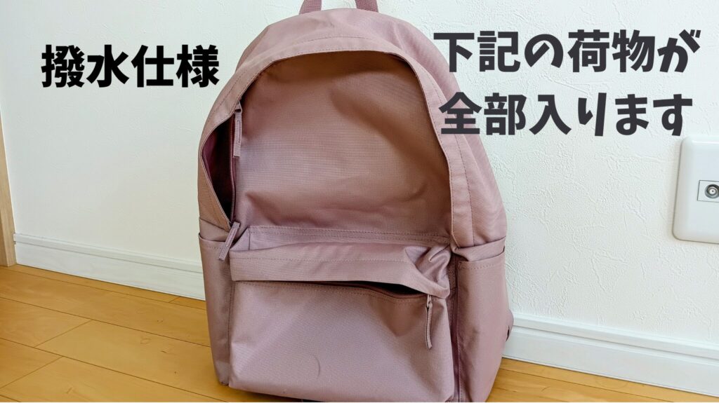 ディズニーランド 持ち物 リュック 子連れ